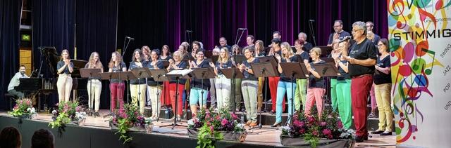 Der Chor "Stimmig" nimmt sehr gerne neue Sängerinnen und Sänger in die Gemeinschaft auf. | Foto: Ulrich Schneebauer