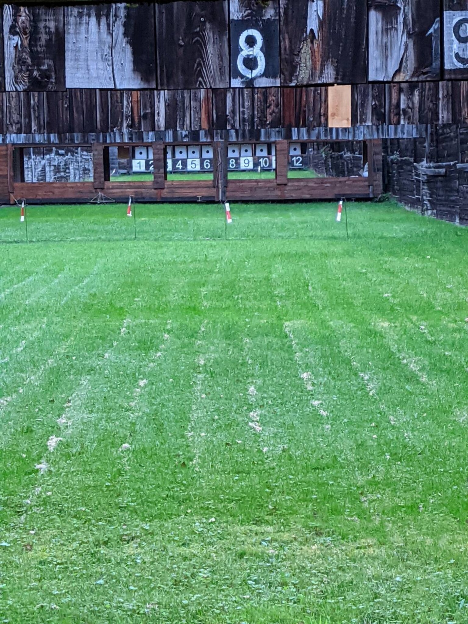 Österreichische Staatsmeisterschaft im KK 100m Österreichische