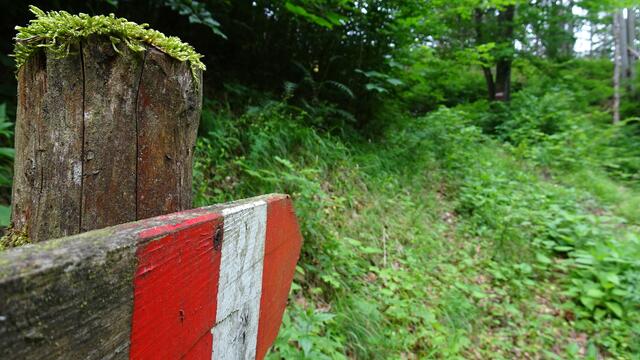 ... anschließend über den gut markierten Himmelalmweg bis hinauf zur Himmelalm. ... | Foto: © Silvia Plischek