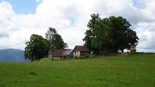 Malerisch zeigt sich am Rande dieses weitflächigen Weidelands das aus dem 16. Jahrhundert stammende Almhaus. ... | Foto: © Silvia Plischek