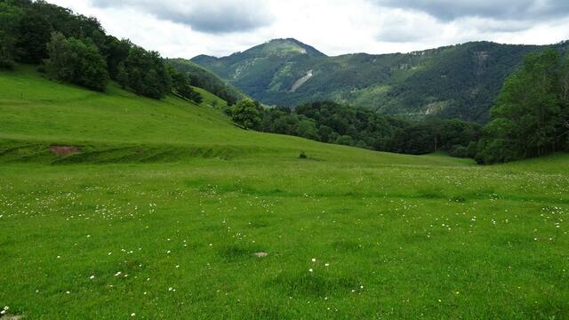 Von der Himmelalmwiese der Blick zum Hohenstein. | Foto: © Silvia Plischek