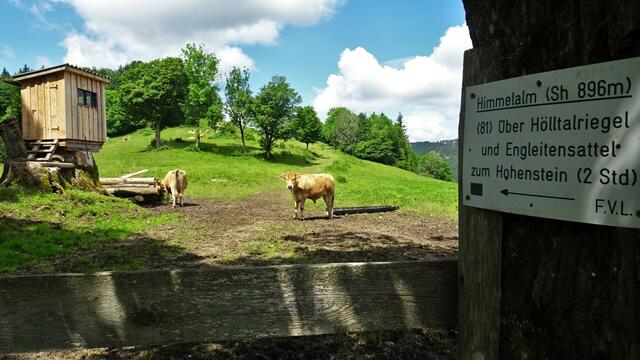 ... ob man auf den Hohenstein weiterwandern oder ... | Foto: © Silvia Plischek