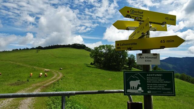 ... wieder zum Ausgangspunkt beim Oberhof zurückkehren möchte. ... | Foto: © Silvia Plischek