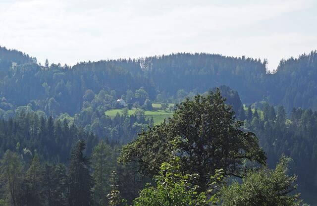 Schöne Landschaft in der Vorlobming.
