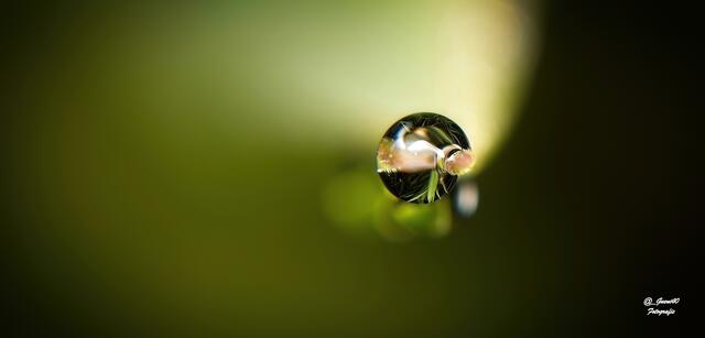 .....die Glasmurmerlen haben wir früher gesagt .....