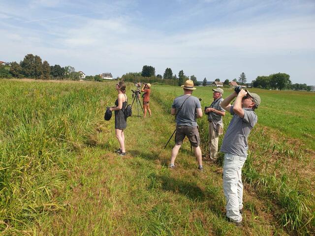 Ornithologische Führung rund um die Güssinger Teiche | Foto: Mag. Katharina Kickinger