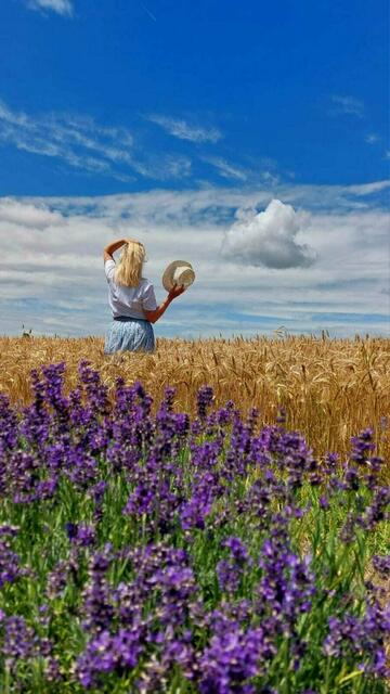 Getreide &amp; Lavendel Zeit | Foto: Ivana Carini