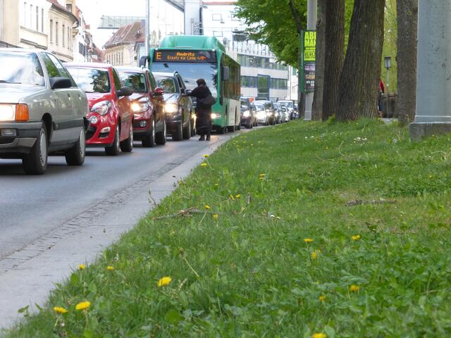 Ein aktuell gewohntes Bild in Graz: Stau an allen Ecken und Enden, Parkplätze sind Mangelware. | Foto: Regionalmedien Steiermark