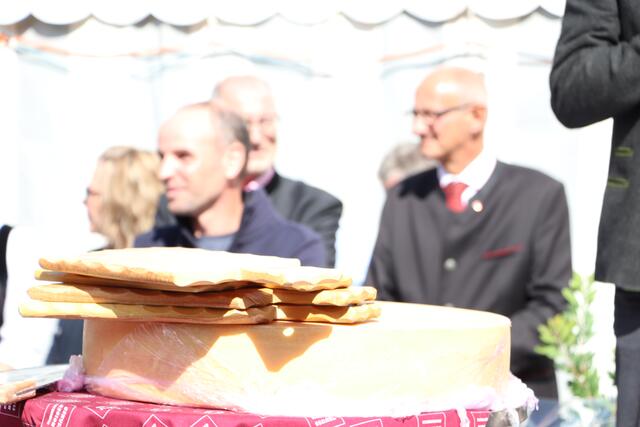 Foto: Elisabeth Neuner