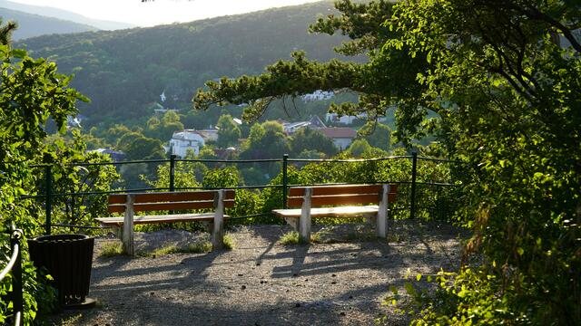 11.08.2023 einsame Bankerln im Kurpark Baden