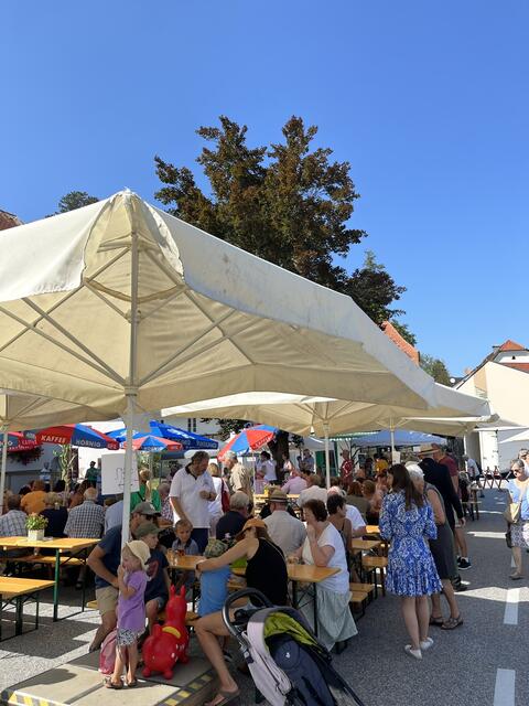 Foto: Marktgemeinde Gratwein-Straßengel/RegionalMedien Steiermark/Erwin Weingrill