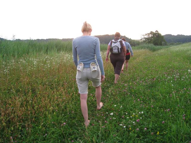 Beim Barfußweg geht es ohne Schuhe durch eine schöne Landschaft. | Foto: Maria Wimmer