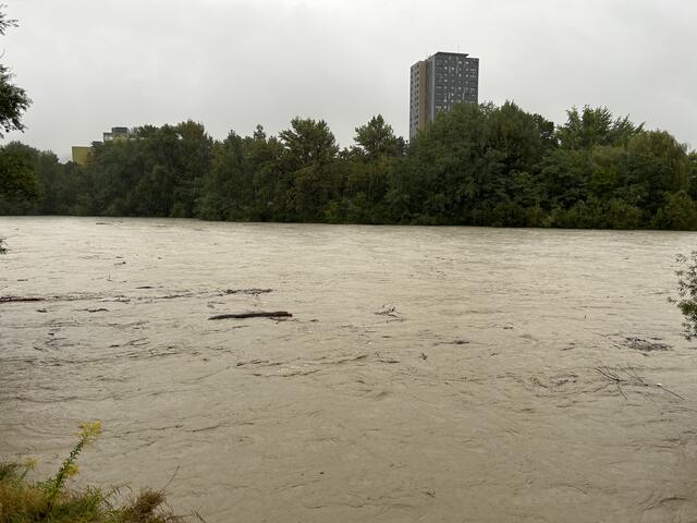 Montag, 10: Uhr: Inn bei New Orleans-Brücke / Olympisches Dorf | Foto: skn