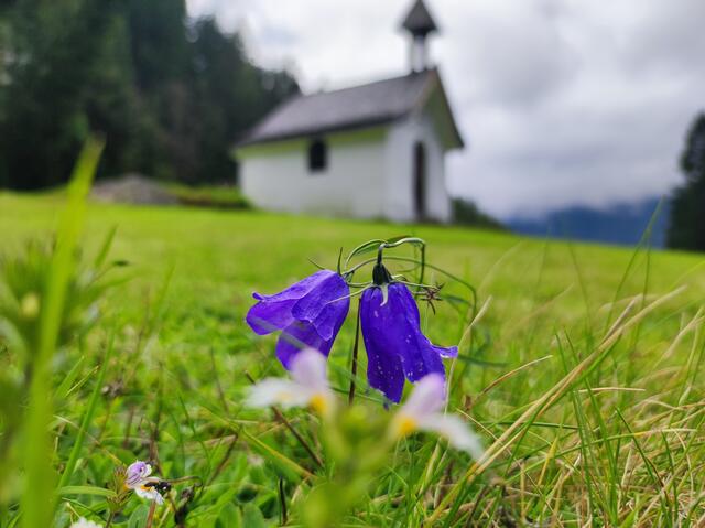Wiesle/Ötztal  | Foto: daniela scheiber