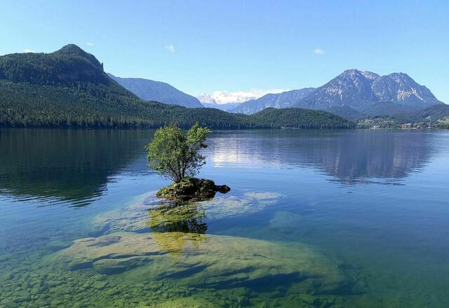 Altausseer See Umrundung | Foto: Heidemarie Bachinger