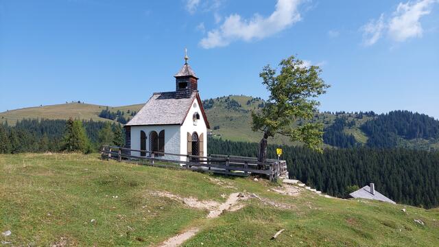 Postalmkapelle.
Die Postalm bietet vieles für alle Wanderfreunde. Von der leichten Wanderung bis zu den imliegenden Gipfeln. | Foto: Anton Wintersteller