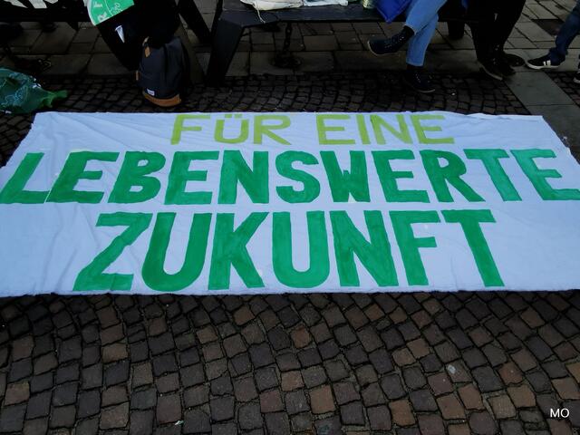 Demonstration Klimakrise