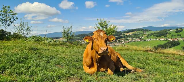 Ulrike genießt den sonnigen Nachmittag
