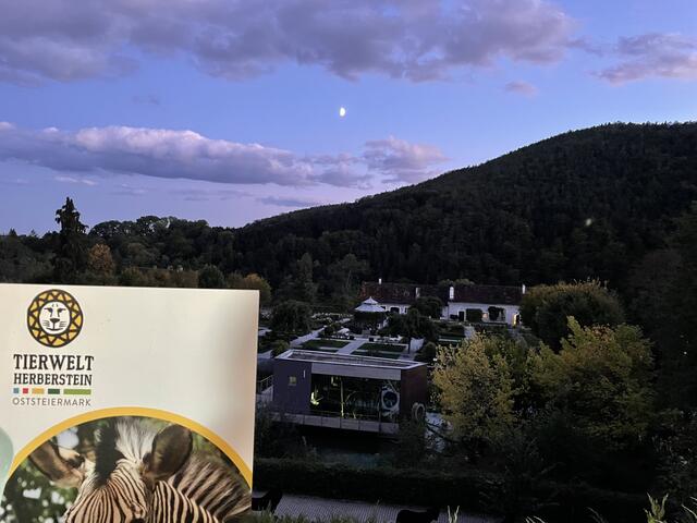 Die Tierwelt Herberstein. | Foto: RegionalMedien Steiermark/Hofmüller