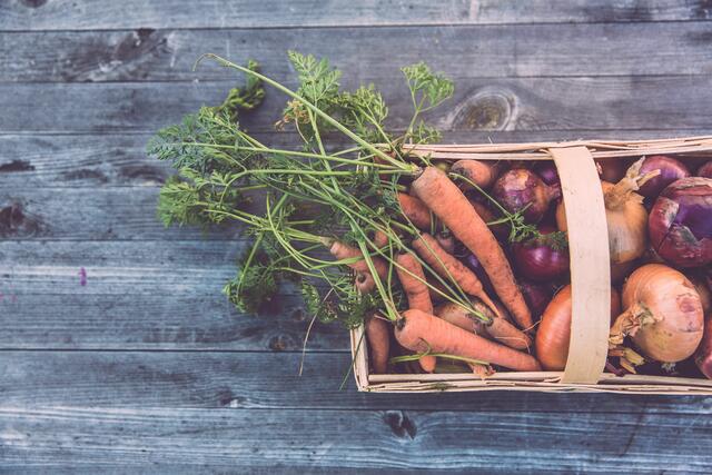 Jährlich landen taustende Tonnen an eigentlich noch guten Lebensmitteln im österreichischen Müll. Gleichzeitig werden die Preise für Essen in den Supermärkten teurer. Mit einer Aktion wollte die SPÖ Währing gleich auf beide Probleme aufmerksam machen. (Symbolbild) | Foto: Markus Spiske/Unsplash