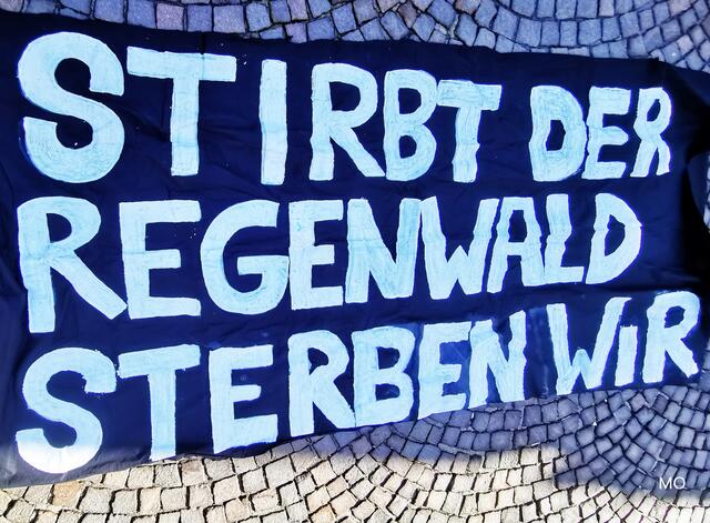 Stirbt der Regenwald, sterben auch wir!