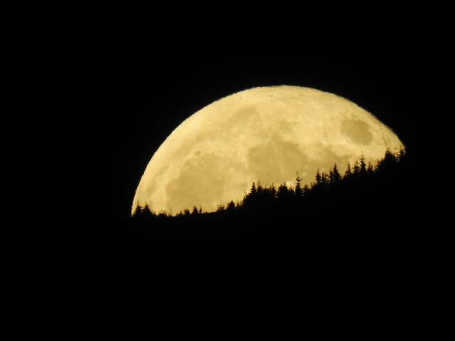 In der Nacht von Mittwoch auf Donnerstag kommt der Mond der Erde so nahe wie selten und ist als sogenannter Supermond am nächtlichen Himmel besonders groß und hell sichtbar.