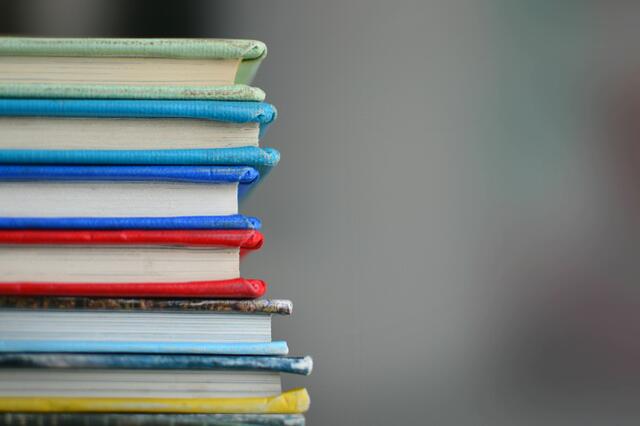 Die Ausbildungspflicht bis zum 18 Lebensjahr, würde in den Augen Neos Tirol-Obermüller häufig nicht zum Ziel führen. Die SchülerInnen würden diese Jahre nur absitzen.  | Foto: Pixabay/Kimberly Farmer (Symbolbild)