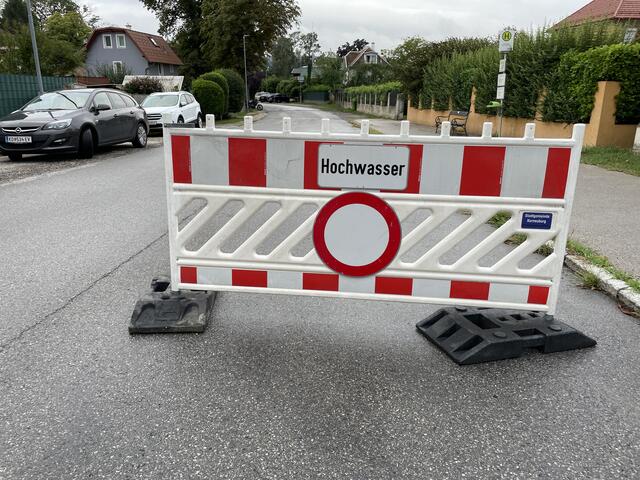 Foto: Sandra Schütz