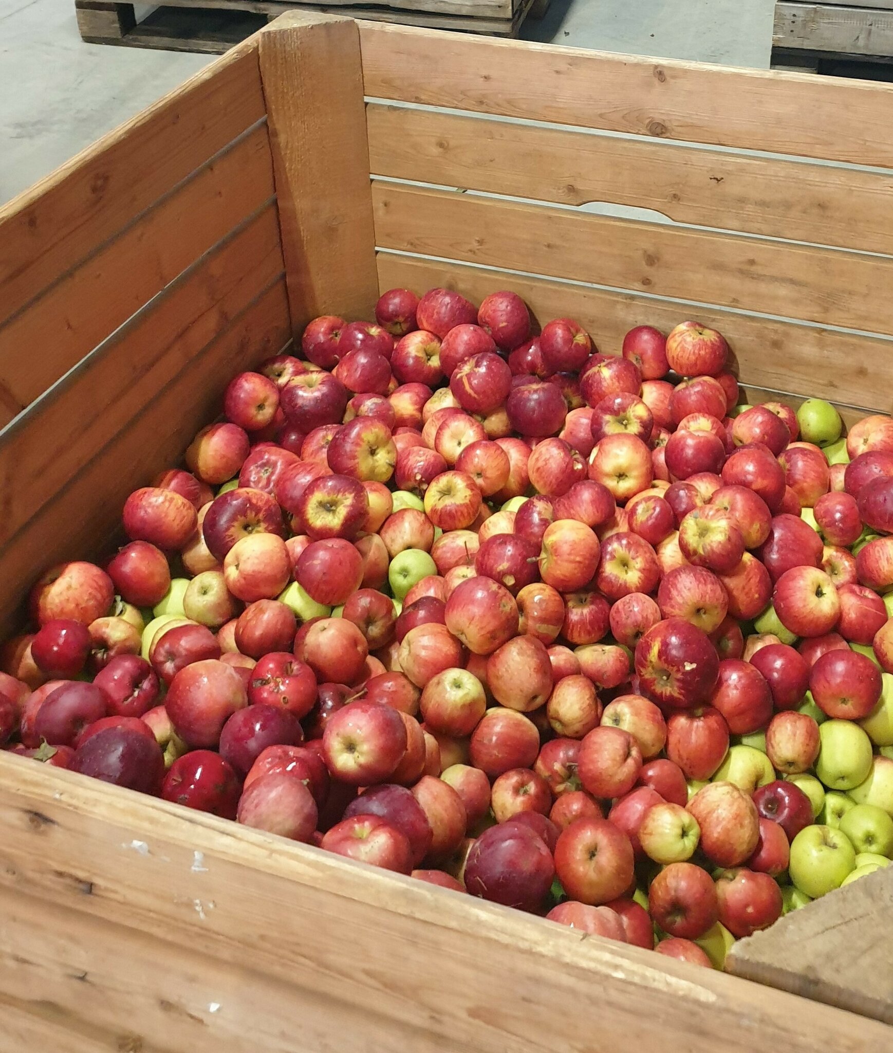 Dreiländereck Apfelsaft: Saft aus den eigenen Äpfeln - Mistelbach