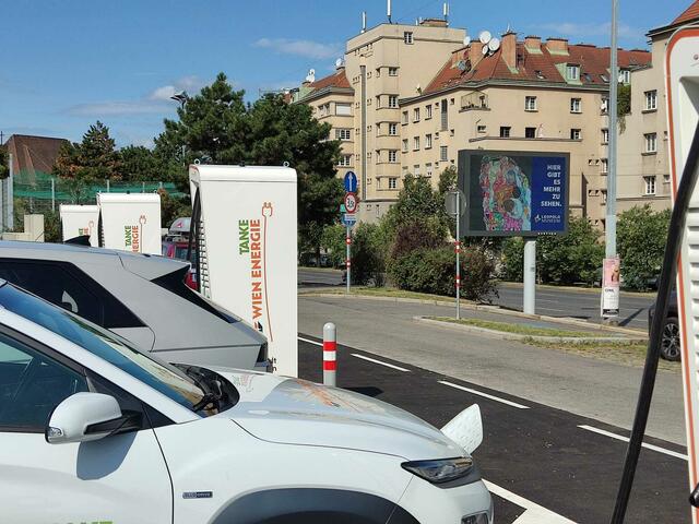 Foto: Patricia Kornfeld