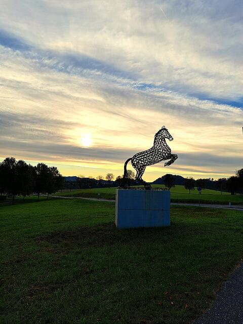 Piber | Foto: Sarah Stückler