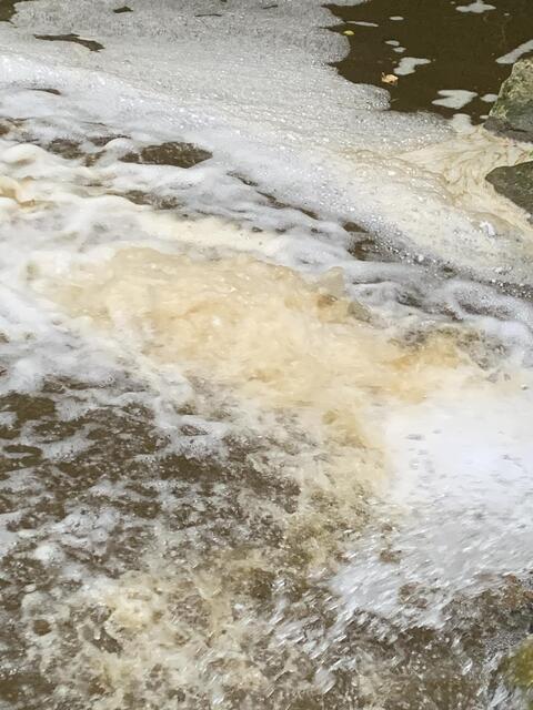 Das Wasser schäumte. Viele Fische starben. | Foto: Abschnittsfeuerwehrkommando Neulengbach