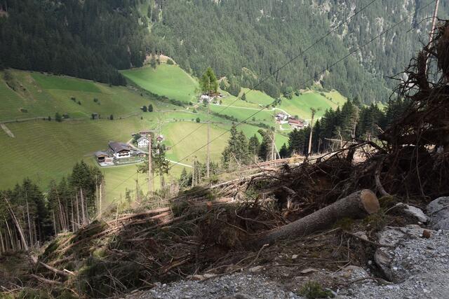 Die Sturmschäden im Tiroler Wald werden auf rund 30 Millionen Euro geschätzt. | Foto: © Land Tirol