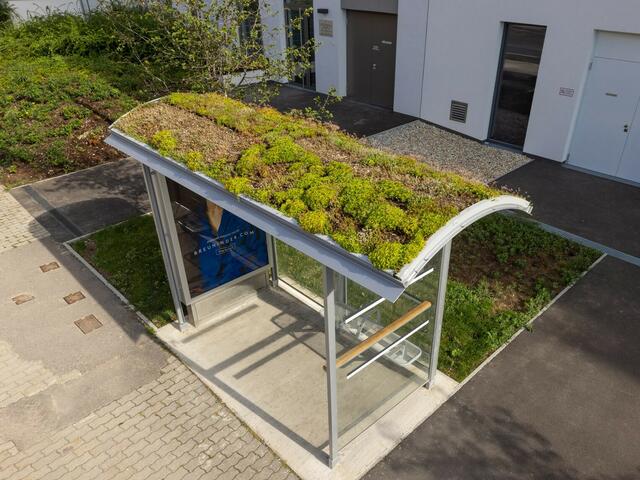 Über 50 Dächer von Wartehäuschen wurden in den vergangenen Jahren begrünt. | Foto: Wiener Linien/ Gritsevskaja.