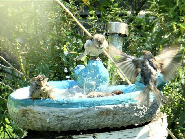 Badespaß  hier mehr zu sehen