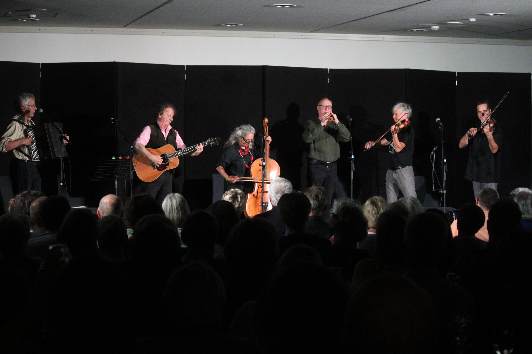 Kunsthaus Weiz: Aniada a Noar und das Trio Altrioh im Doppelpack - Weiz