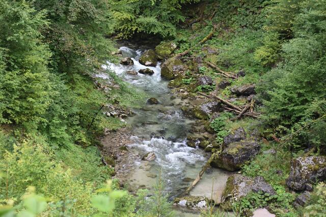 Unterwegs zum Trefflingfall im Naturpark Ötscher-Tormäuer | Foto: Roland Mayr