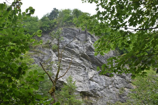 Unterwegs zum Trefflingfall im Naturpark Ötscher-Tormäuer | Foto: Roland Mayr