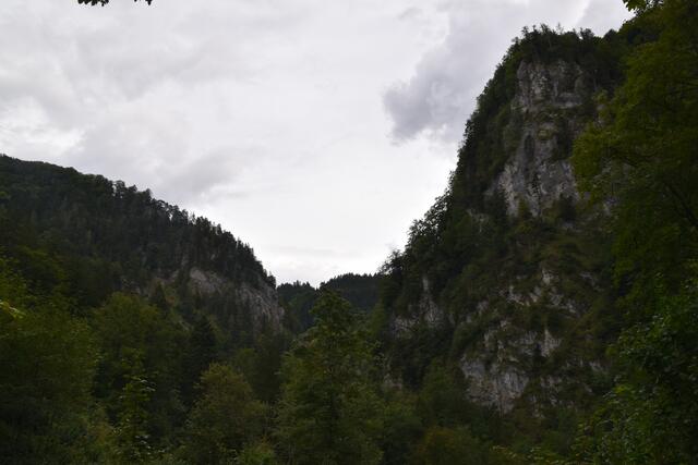 Unterwegs zum Trefflingfall im Naturpark Ötscher-Tormäuer | Foto: Roland Mayr