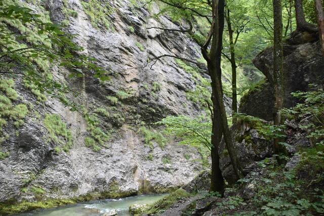 Unterwegs zum Trefflingfall im Naturpark Ötscher-Tormäuer | Foto: Roland Mayr