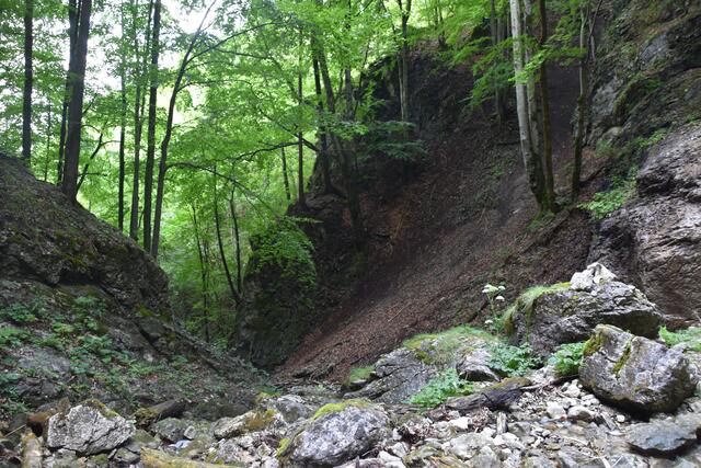 Der Schleierfall in Gaming ist ein wahrlich mystischer Ort. | Foto: Roland Mayr
