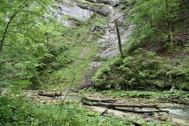 Unterwegs zum Trefflingfall im Naturpark Ötscher-Tormäuer | Foto: Roland Mayr