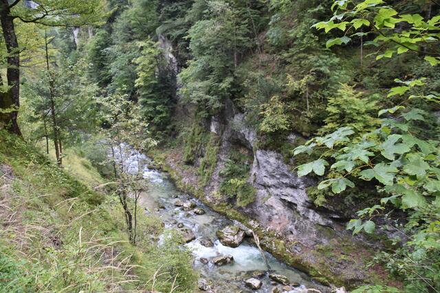 Unterwegs zum Trefflingfall im Naturpark Ötscher-Tormäuer | Foto: Roland Mayr