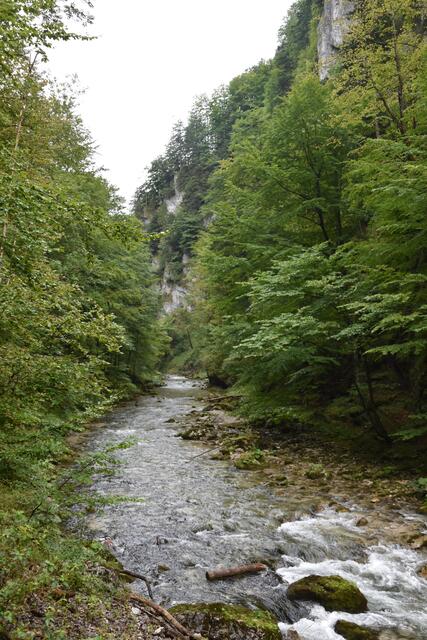 Unterwegs zum Trefflingfall im Naturpark Ötscher-Tormäuer | Foto: Roland Mayr
