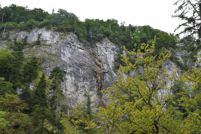 Unterwegs zum Trefflingfall im Naturpark Ötscher-Tormäuer | Foto: Roland Mayr