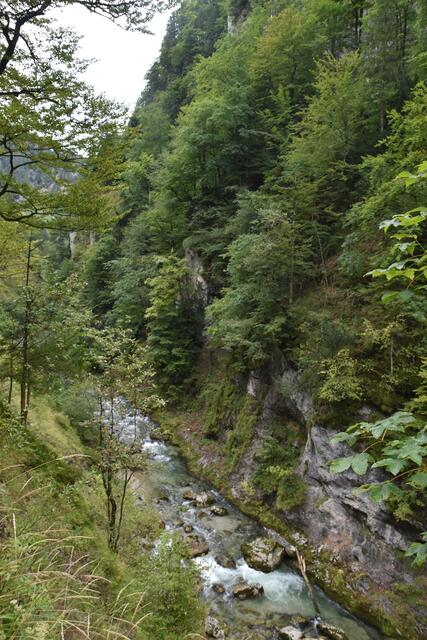 Unterwegs zum Trefflingfall im Naturpark Ötscher-Tormäuer | Foto: Roland Mayr