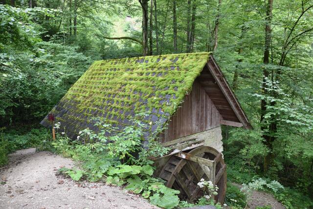 Unterwegs zum Trefflingfall im Naturpark Ötscher-Tormäuer | Foto: Roland Mayr