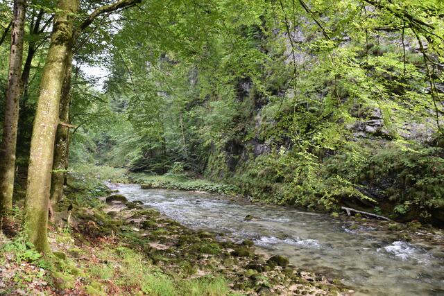 Unterwegs zum Trefflingfall im Naturpark Ötscher-Tormäuer | Foto: Roland Mayr