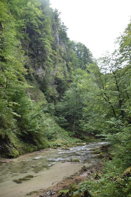 Unterwegs zum Trefflingfall im Naturpark Ötscher-Tormäuer | Foto: Roland Mayr
