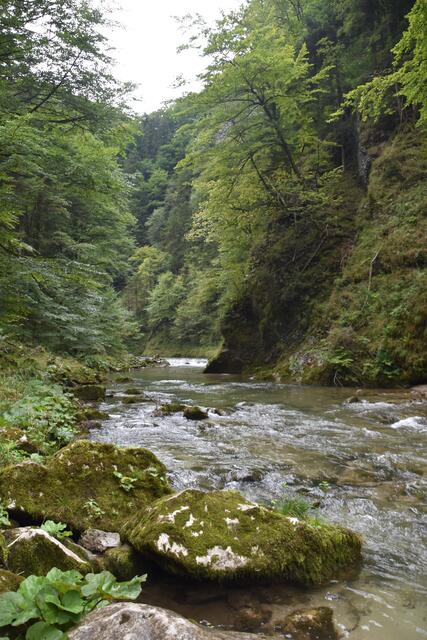 Unterwegs zum Trefflingfall im Naturpark Ötscher-Tormäuer | Foto: Roland Mayr